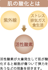 肌の酸化とは
