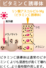 ビタミンC誘導体