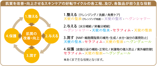 肌質を改善・向上させるスキンケアの好転サイクルの各工程、及び、各製品が担う主な役割