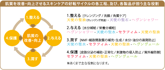 肌質を改善・向上させるスキンケアの好転サイクルの各工程、及び、各製品が担う主な役割
