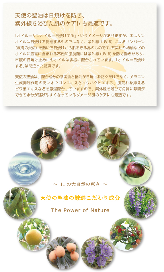 高機能美容オイル「天使の聖油」のこだわり