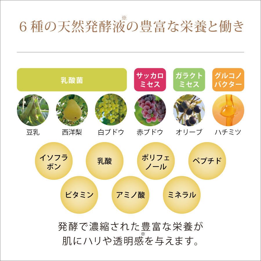6種の天然発酵液の豊富な栄養と働き