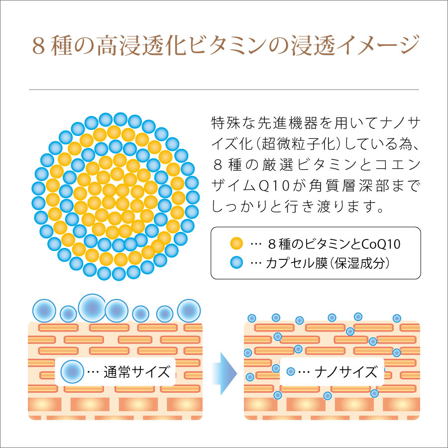 ８種の高浸透化ビタミンの浸透イメージ