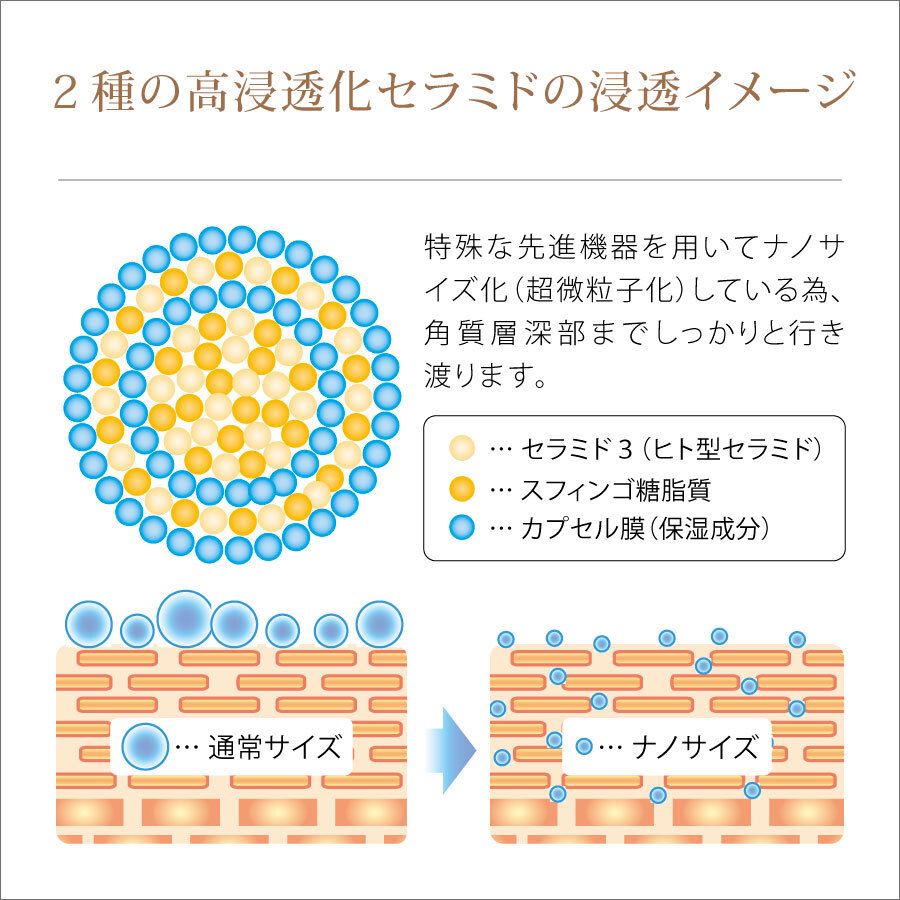ヒト型セラミド（セラミド3）と天然発酵セラミド（スフィンゴ糖脂質）のナノサイズ化と浸透のイメージ