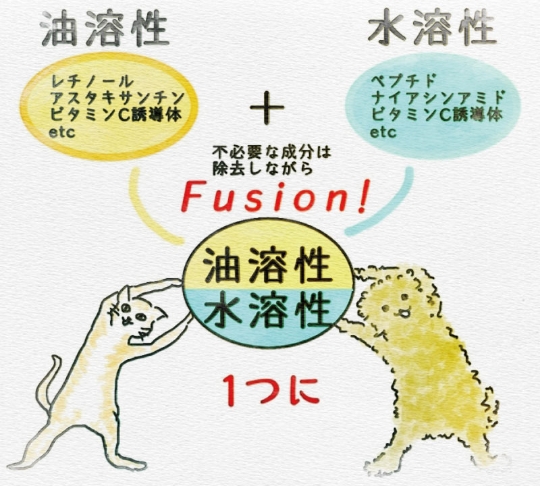 劇的な改良となる「二層式」の処方へ