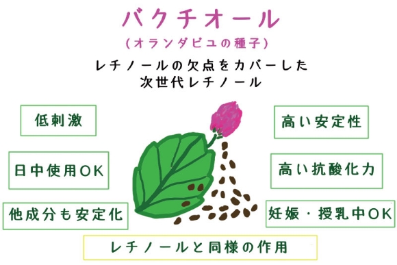 レチノールの欠点を全てカバーした画期的な成分「バクチオール」