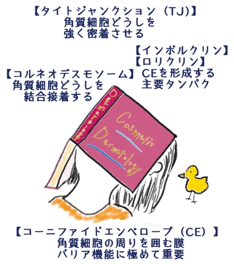 コンセプトを実現できる原料探し